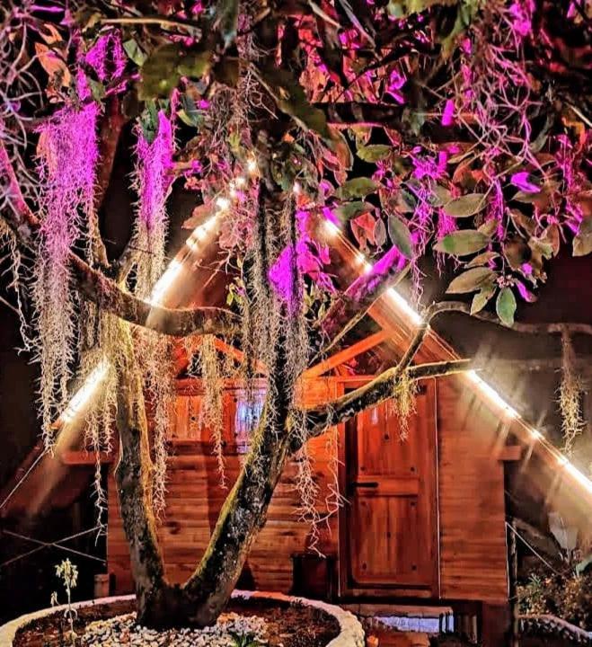 Cabanas La Miranda Филандия Экстерьер фото