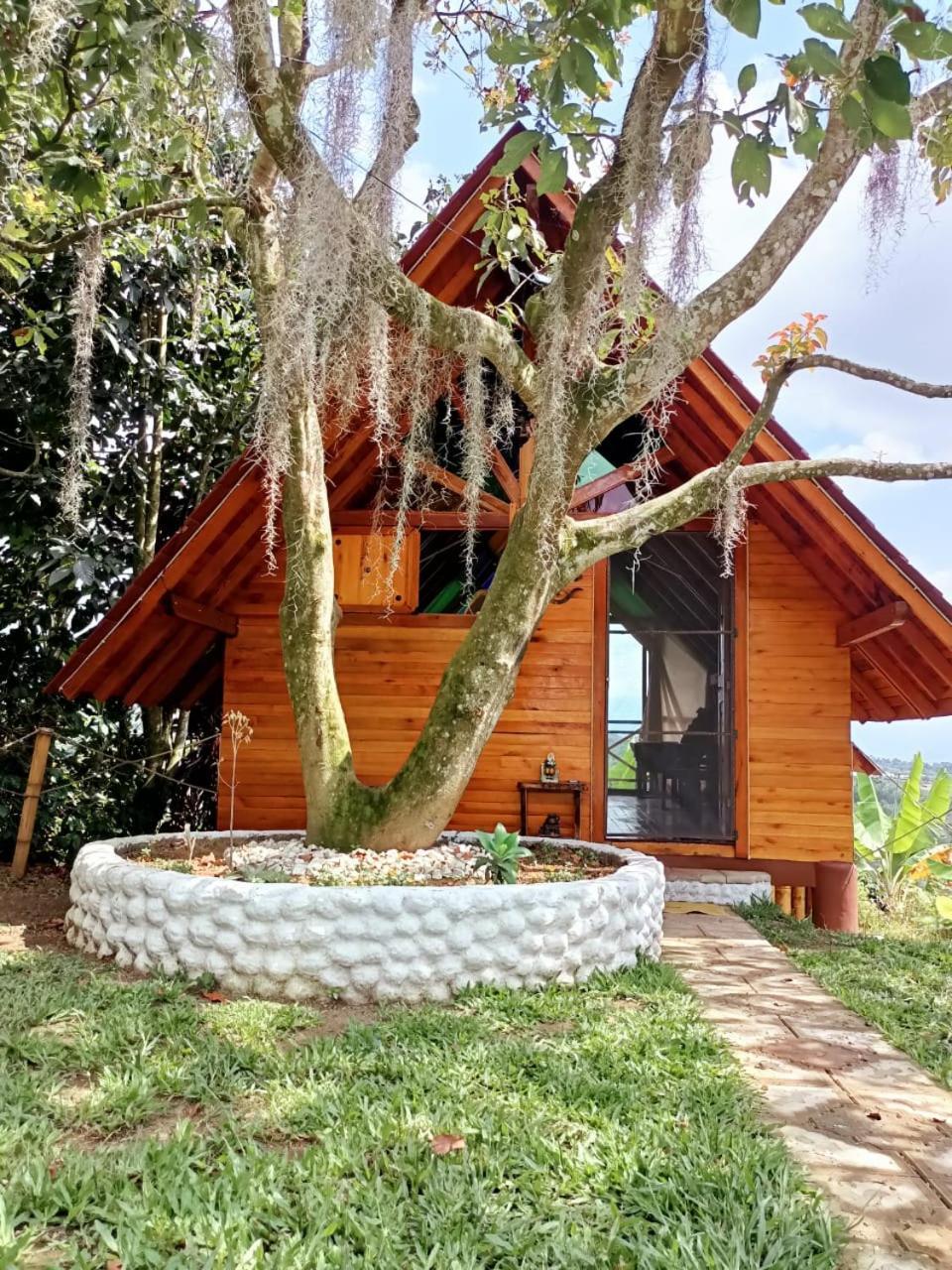 Cabanas La Miranda Филандия Экстерьер фото