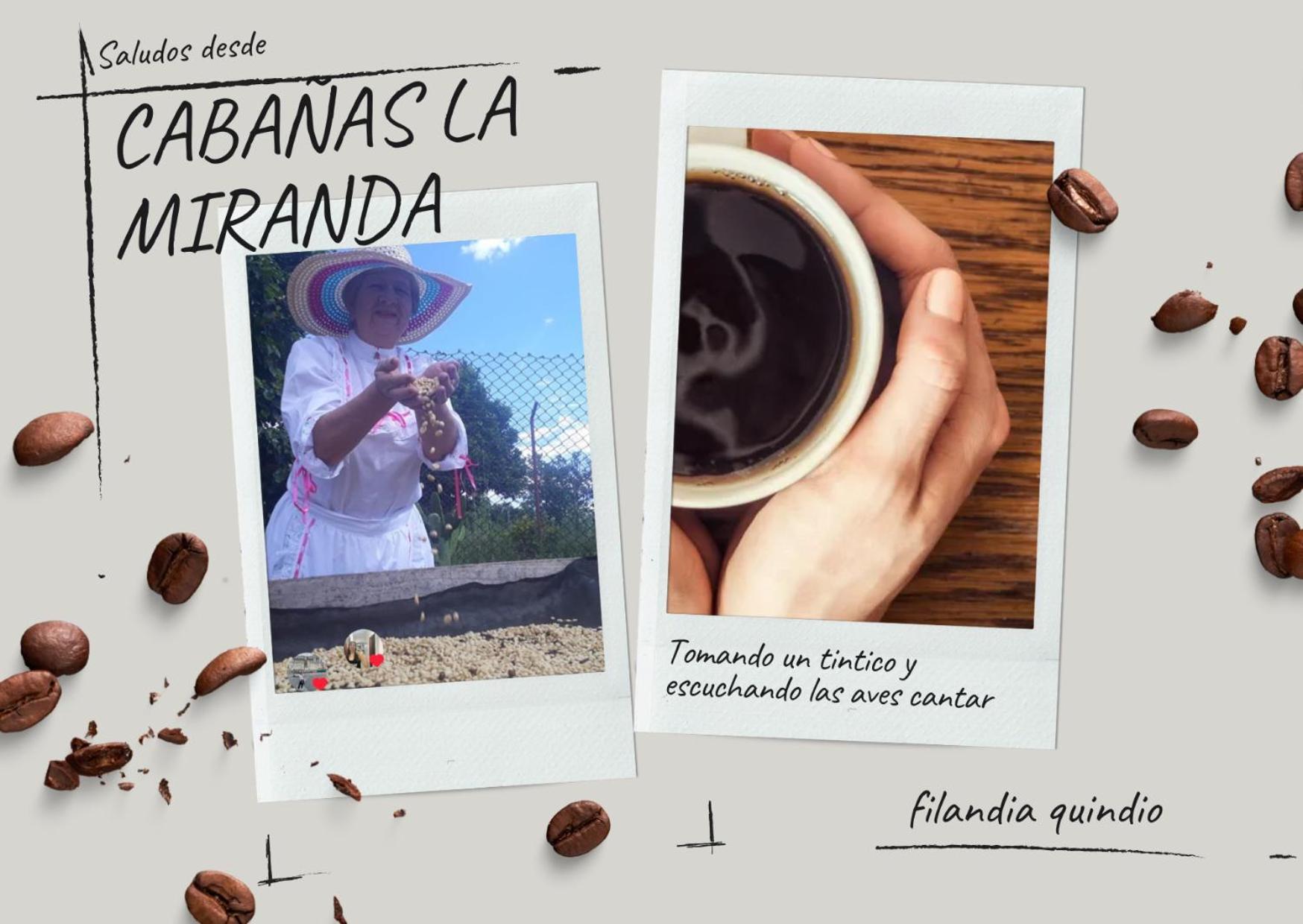 Cabanas La Miranda Филандия Экстерьер фото